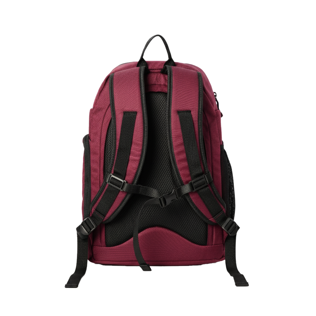 Locksy Backpack